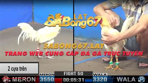 sabong67 c1|SABONG67 .
